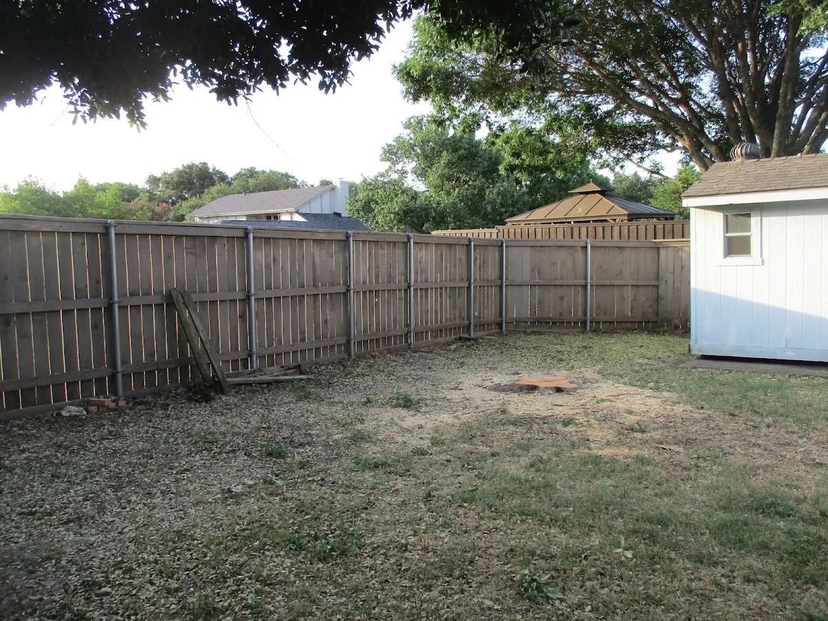Cleared yard after professional tree removal in Dartmouth